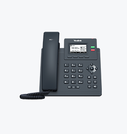 SIP- T31W